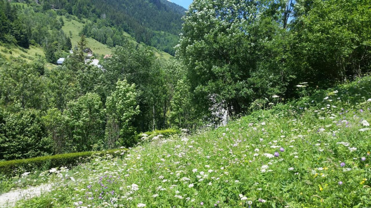 Saint-Pierre-d'Entremont Le Postillon - Duo公寓 外观 照片